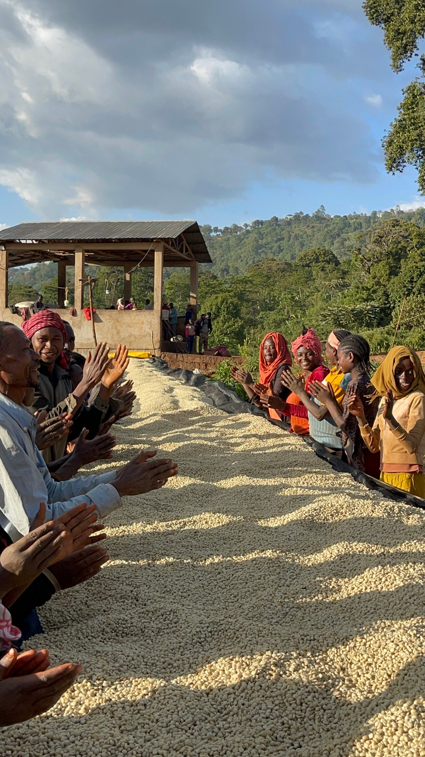 Ethiopia - Yirgacheffe, Rachia